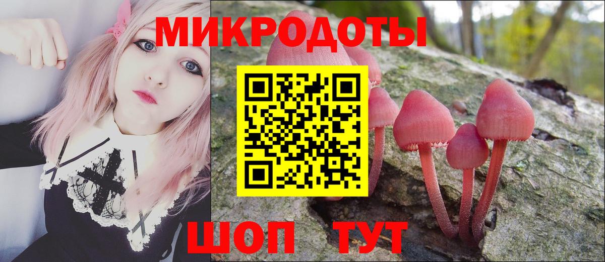 Псилоцибиновые грибы прущие грибы Сатка