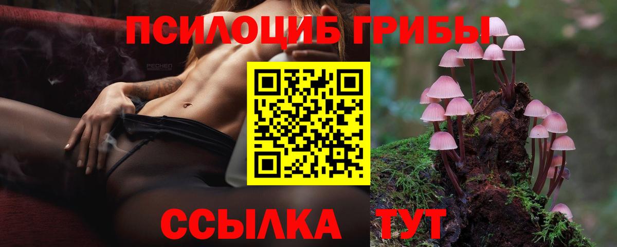 Псилоцибиновые грибы MAGIC MUSHROOMS  Вход с VPN  Сатка  Галлюциногенные грибы GOLDEN TEACHER 